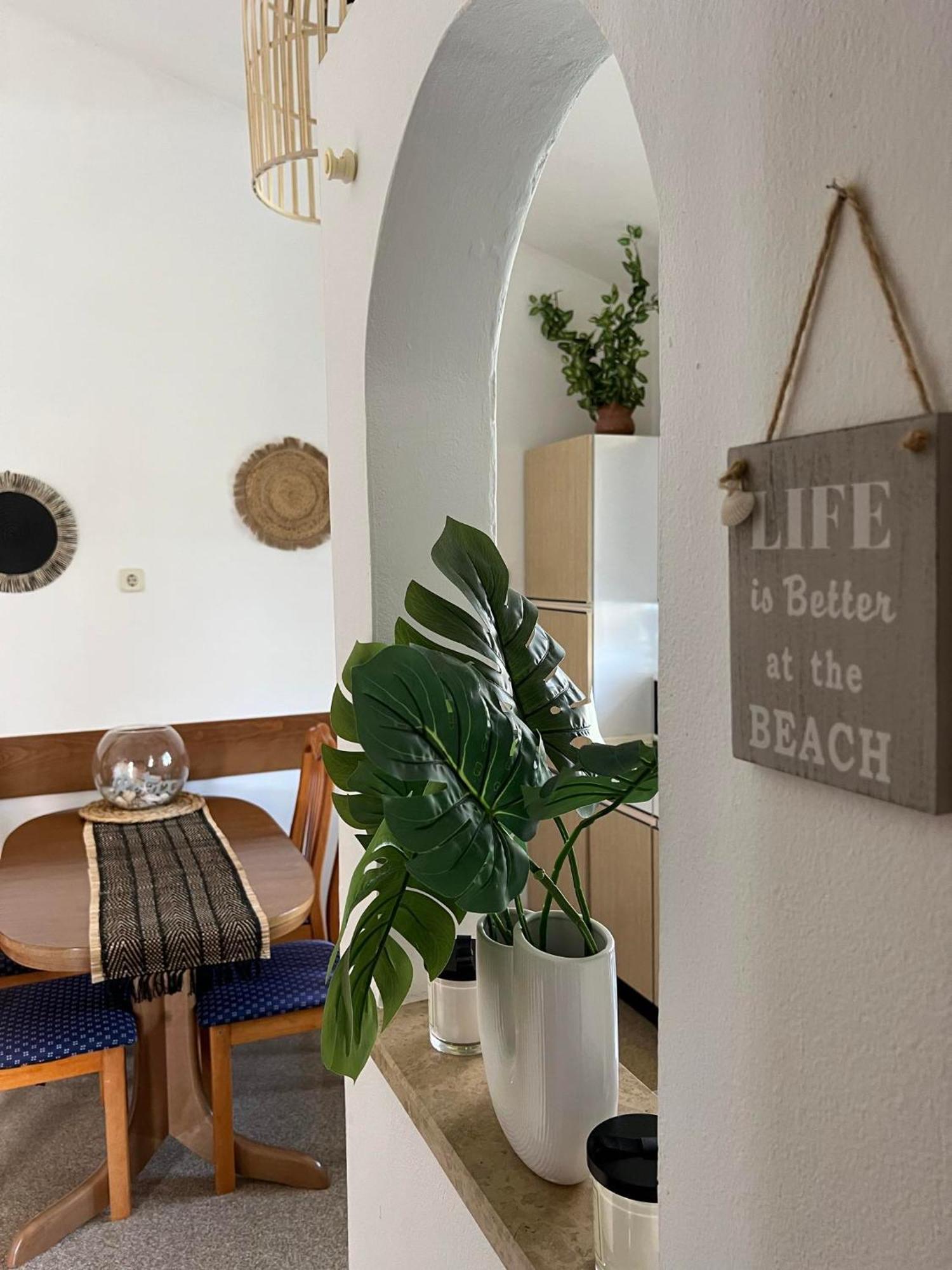 Apartment Angelina 70M From The Beach, Free Parking Novigrad Istria Esterno foto
